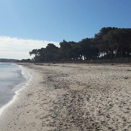 Villa Le Grilladou Hyères Exteriör bild